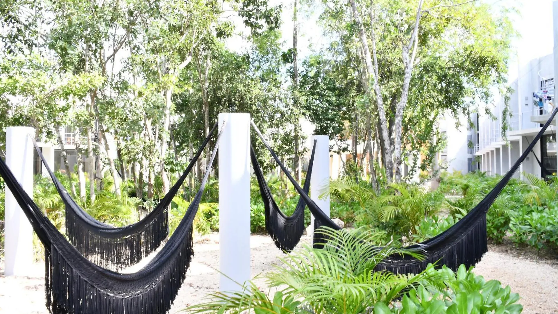 Seremonia Selva By The Spot Rentals Tulum Apartment